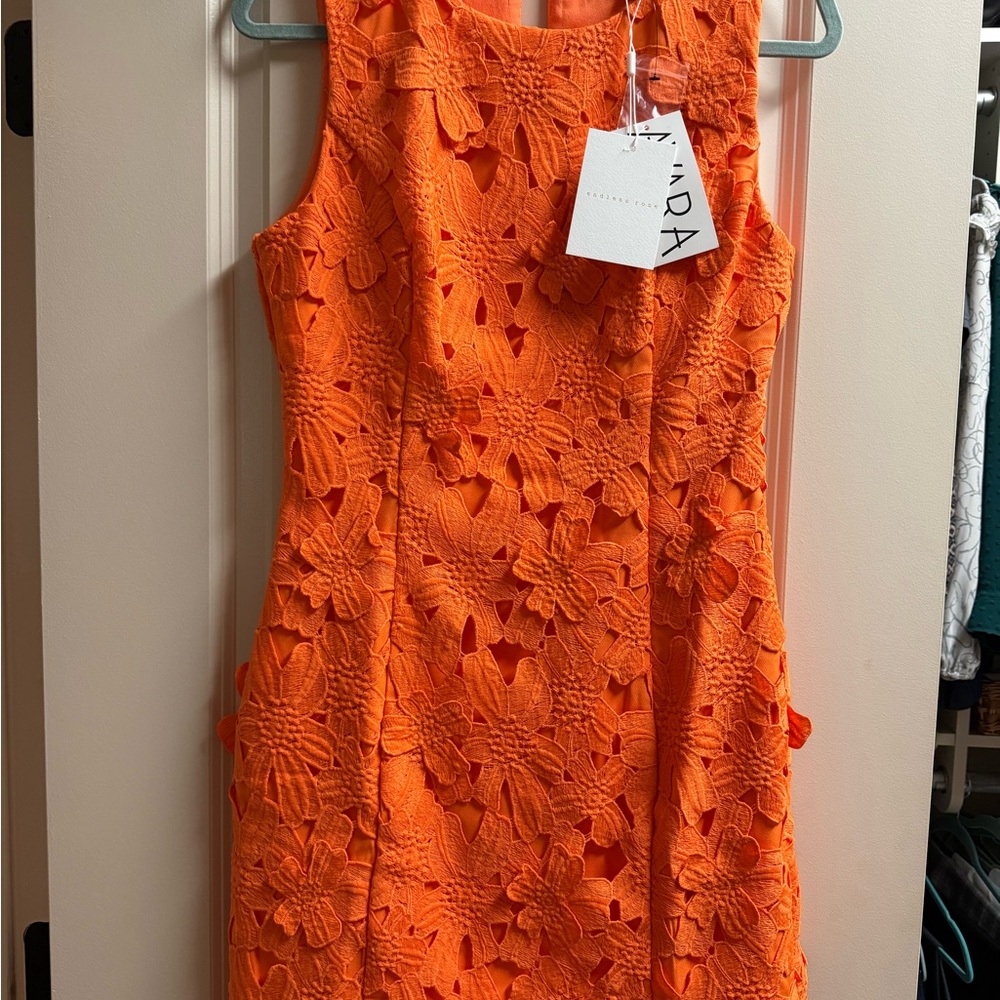 Elegant Orange Lace Mini Dress NWT